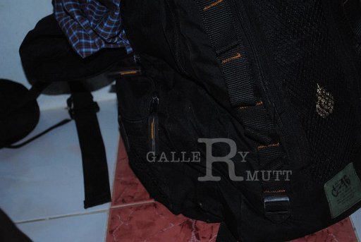 DSC_0300 Copy.JPG